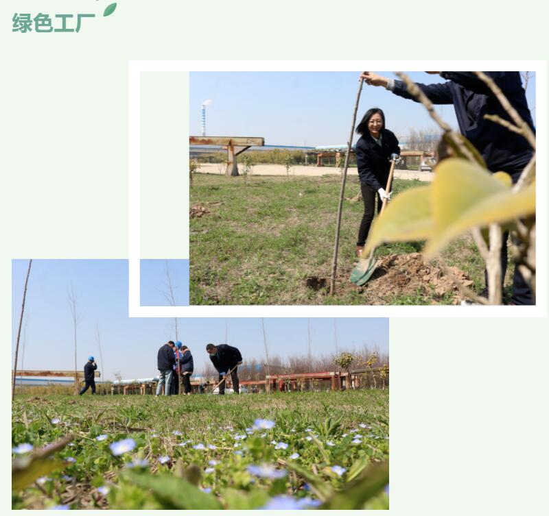 1647498598983476.jpg 33.jpg